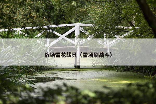 战场雪花载具（雪场刷战斗）