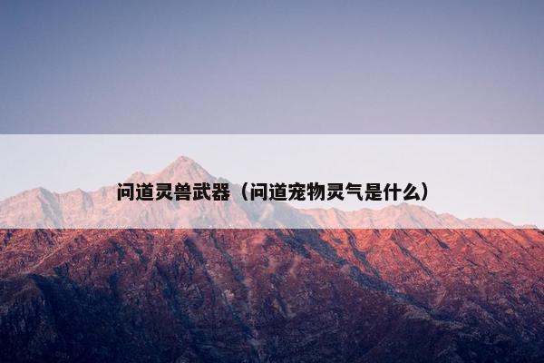 问道灵兽武器（问道宠物灵气是什么）