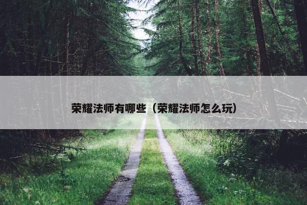 荣耀法师有哪些（荣耀法师怎么玩）