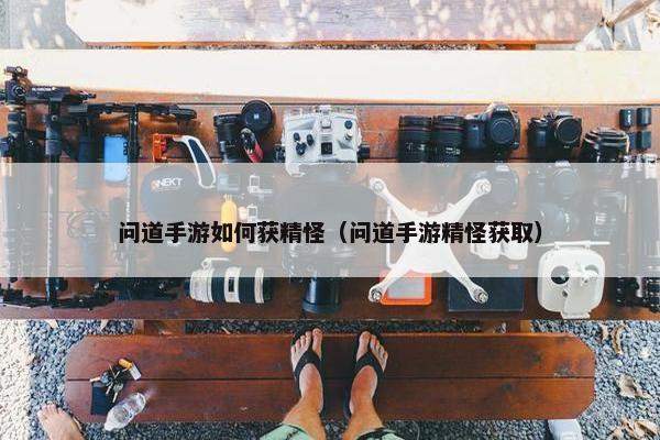 问道手游如何获精怪（问道手游精怪获取）