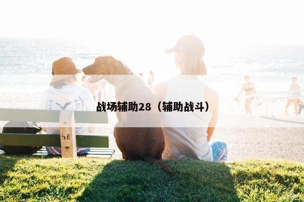 战场辅助28（辅助战斗）