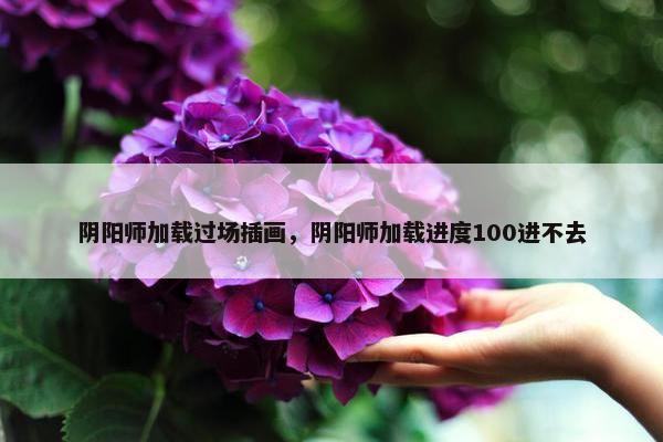 阴阳师加载过场插画，阴阳师加载进度100进不去