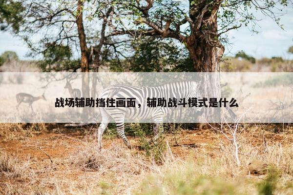 战场辅助挡住画面，辅助战斗模式是什么