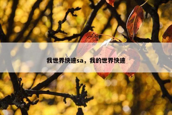 我世界快速sa，我的世界快速