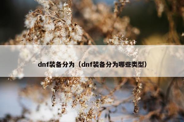 dnf装备分为（dnf装备分为哪些类型）