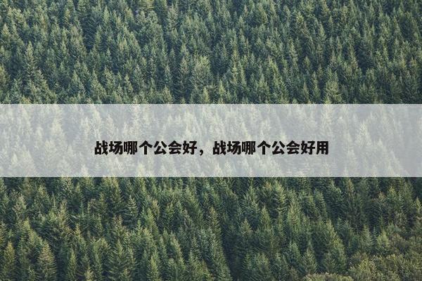 战场哪个公会好，战场哪个公会好用