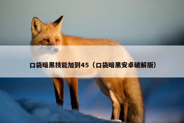 口袋暗黑技能加到45（口袋暗黑安卓破解版）
