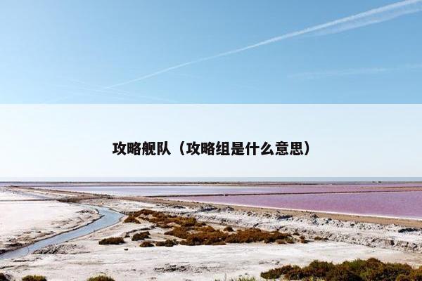 攻略舰队（攻略组是什么意思）