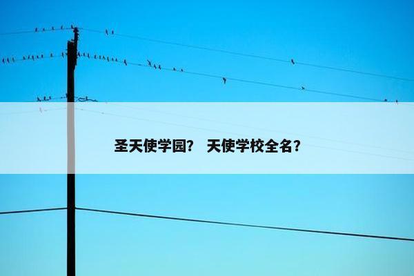 圣天使学园？ 天使学校全名？
