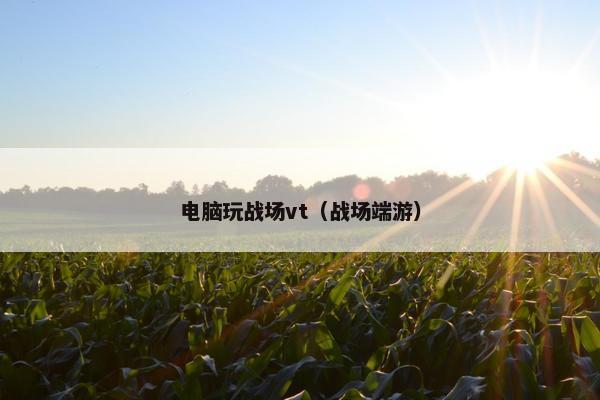 电脑玩战场vt（战场端游）