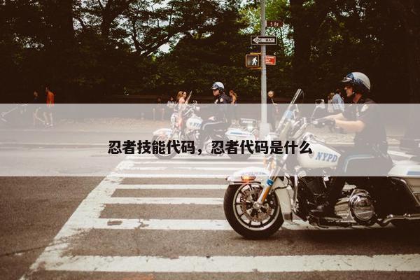忍者技能代码，忍者代码是什么