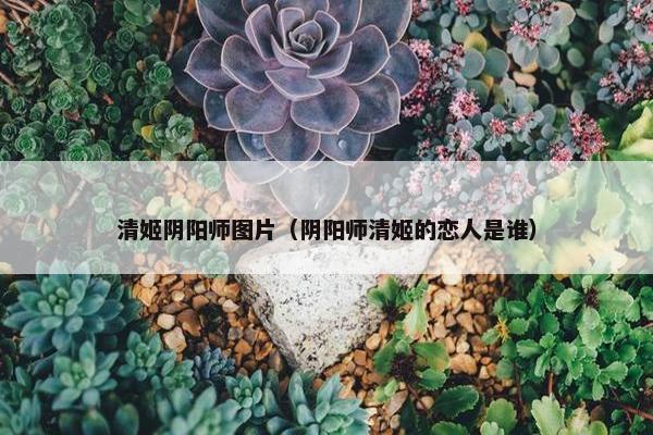 清姬阴阳师图片（阴阳师清姬的恋人是谁）