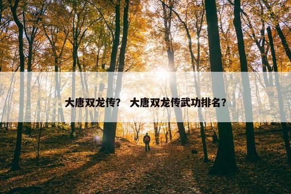 大唐双龙传？ 大唐双龙传武功排名？