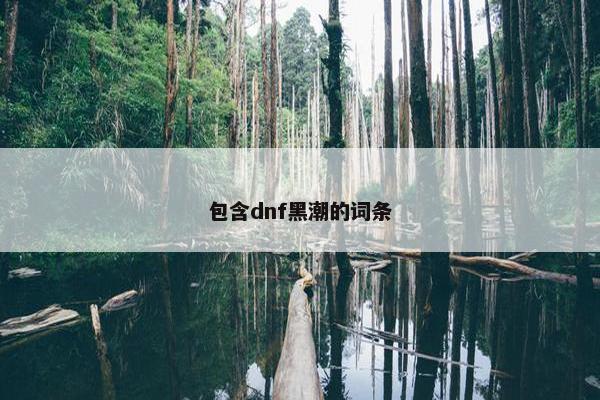 包含dnf黑潮的词条