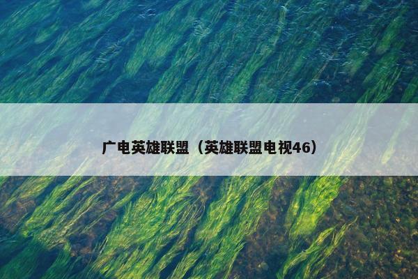 广电英雄联盟（英雄联盟电视46）