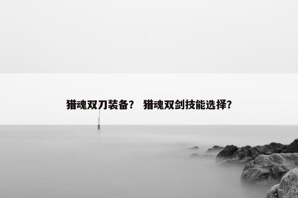 猎魂双刀装备？ 猎魂双剑技能选择？