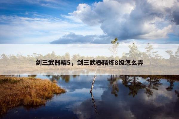 剑三武器精5，剑三武器精炼8级怎么弄