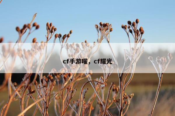 cf手游曜，cf耀光