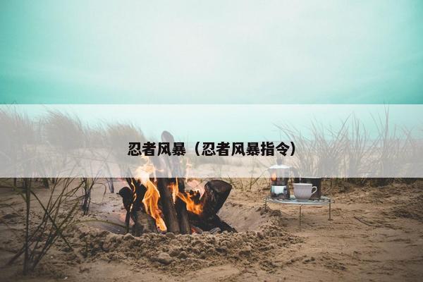 忍者风暴（忍者风暴指令）
