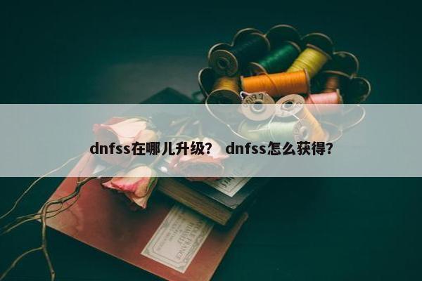 dnfss在哪儿升级？ dnfss怎么获得？