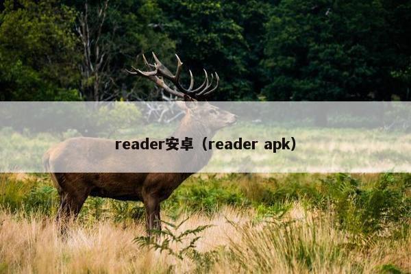 reader安卓（reader apk）
