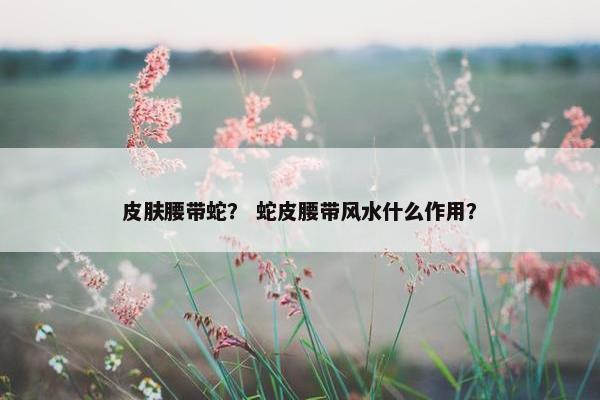 皮肤腰带蛇？ 蛇皮腰带风水什么作用？