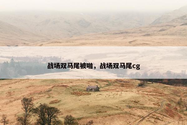 战场双马尾被啪，战场双马尾cg