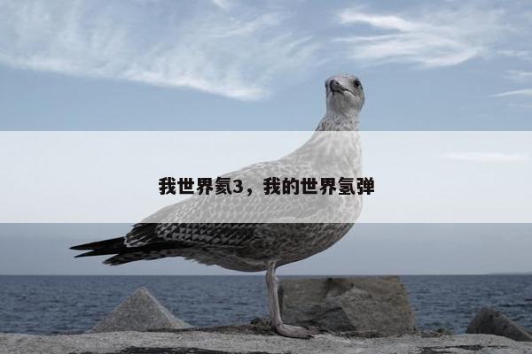 我世界氦3，我的世界氢弹