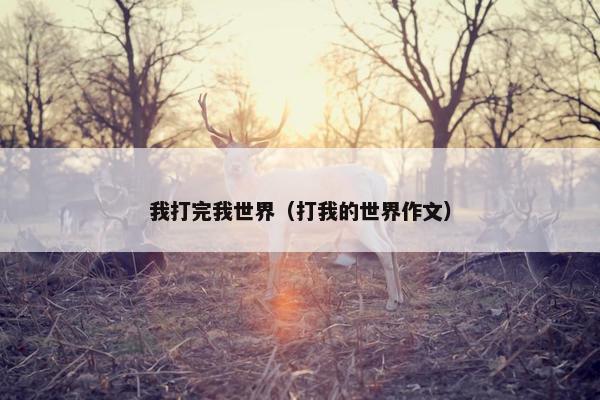 我打完我世界（打我的世界作文）