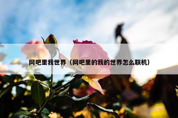 网吧里我世界（网吧里的我的世界怎么联机）