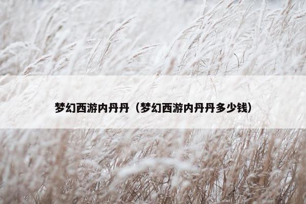 梦幻西游内丹丹（梦幻西游内丹丹多少钱）