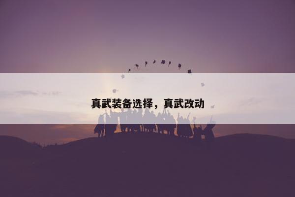 真武装备选择，真武改动