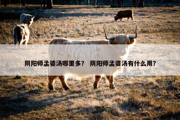阴阳师孟婆汤哪里多？ 阴阳师孟婆汤有什么用？
