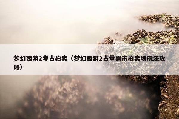 梦幻西游2考古拍卖（梦幻西游2古董黑市拍卖场玩法攻略）