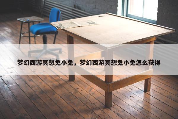 梦幻西游冥想兔小兔，梦幻西游冥想兔小兔怎么获得