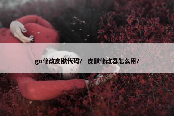 go修改皮肤代码？ 皮肤修改器怎么用？