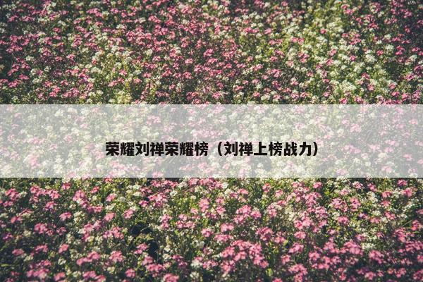 荣耀刘禅荣耀榜（刘禅上榜战力）