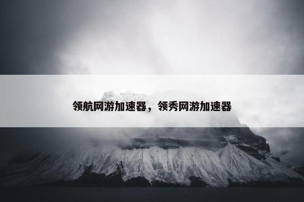 领航网游加速器，领秀网游加速器