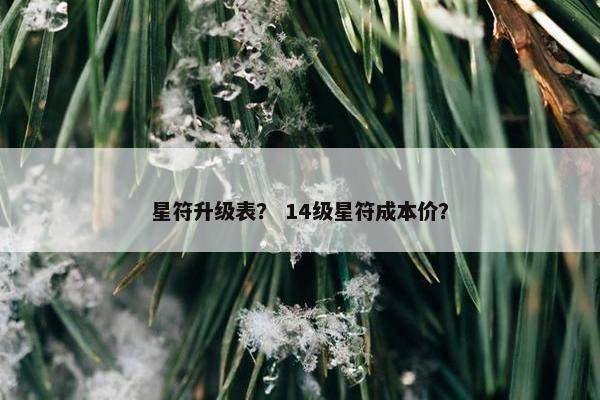 星符升级表？ 14级星符成本价？