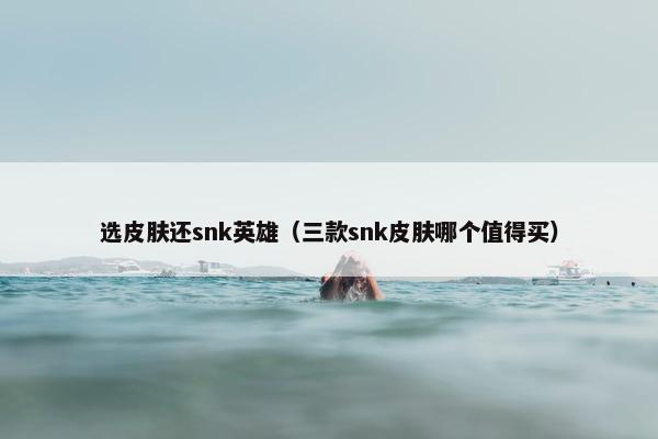 选皮肤还snk英雄（三款snk皮肤哪个值得买）