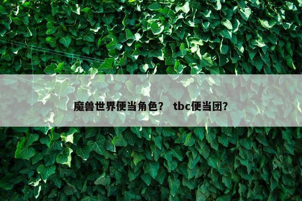 魔兽世界便当角色？ tbc便当团？