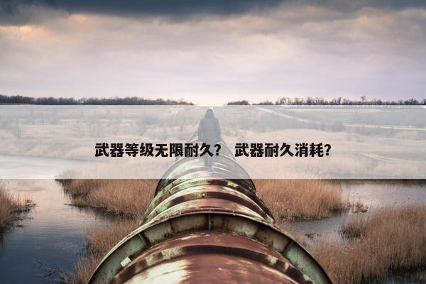 武器等级无限耐久？ 武器耐久消耗？