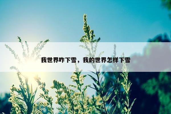 我世界咋下雪，我的世界怎样下雪