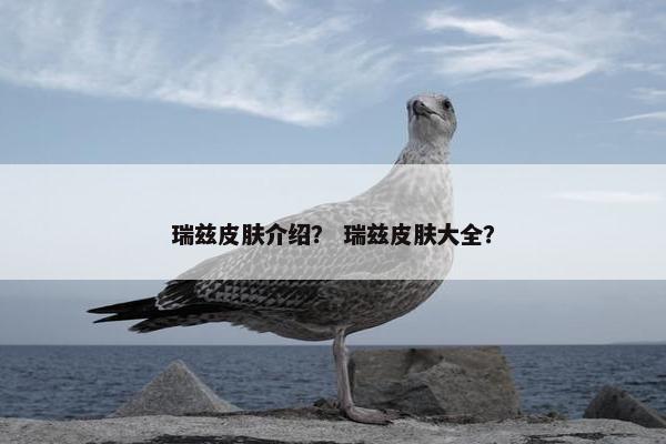瑞兹皮肤介绍？ 瑞兹皮肤大全？