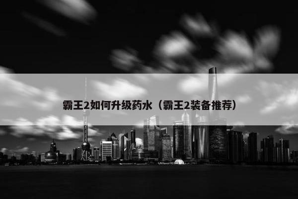 霸王2如何升级药水（霸王2装备推荐）