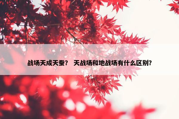 战场天成天蚕？ 天战场和地战场有什么区别？