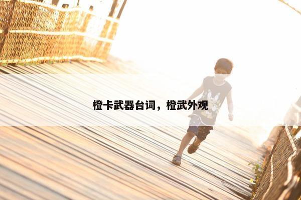 橙卡武器台词，橙武外观
