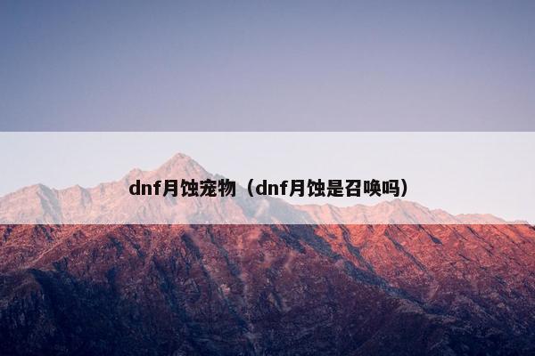 dnf月蚀宠物（dnf月蚀是召唤吗）