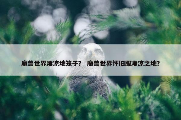 魔兽世界凄凉地笼子？ 魔兽世界怀旧服凄凉之地？