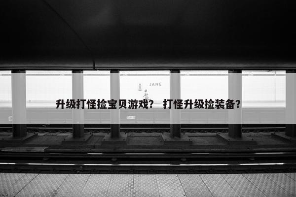 升级打怪捡宝贝游戏？ 打怪升级捡装备？